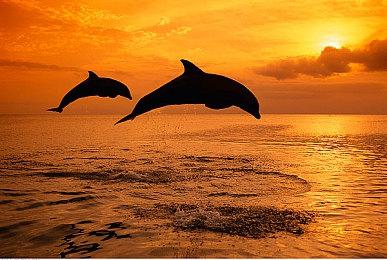 《蓬莱镇（天神镇）》上线公告：12月30日上线移动端 