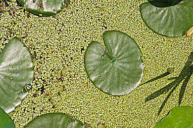 顽皮狗公布新作《星际：异端先知》部分游戏细节