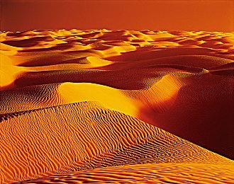 开放世界生存恐怖游戏《寄生虫》 爆衣系统有望拓展为成人内容？